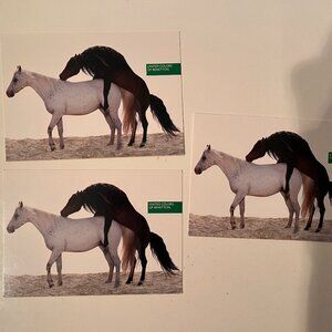 Vintage United Colors of Benetton Mating Horses Oliviero Toscani -‎ THREE